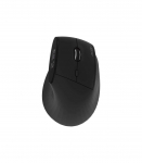 Acer Smart Fit Vertical Mouse, retail pack