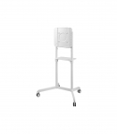 Neomounts Floor stand NS-M1250WHITE TV trolley Rotate, Tilt 37-70 " Maximum weight (capacity) 70 kg White