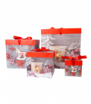 Kinkekarp XMAS GIFT-1, 10x10x10cm, mix
