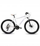 Jalgratas ROMET Jolene 6.2, 26" 19" L, valge-lilla