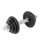 SG03 CAST IRON DUMBBELL 10 KG