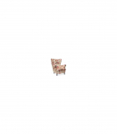 Tugitool LORD CORAL WM82