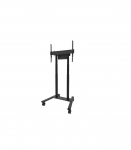 Neomounts Floor stand FL55-875BL1 TV trolley Adjustable Height 55-100 " Maximum weight (capacity) 110 kg Black