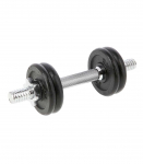 SG01 CAST IRON DUMBBELL 7 KG