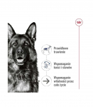 ROYAL CANIN SHN Maxi Ageing Loaf Can 410g