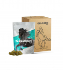 GELOREN Horse HA Joints - vitamins for horses - 450g