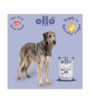 OLLO Plus Collagen Mono Lamb - wet dog food - 800g