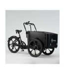 Elektriline kastiratas CARGOBIKE Delight