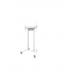 Neomounts Floor stand FL55-875WH1 TV trolley Adjustable Height 55-100 " Maximum weight (capacity) 110 kg White