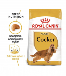 ROYAL CANIN Adult Cocker - dry dog food - 12 kg