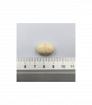 Game Dog AniFlexi MARINE V2 80 kapsułek