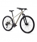 Naiste jalgratas LIV Rove 3, Pulp Gray (S)
