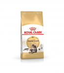 Royal Canin FBN Maine Coon Adult -  dry food for adult cats - 4kg