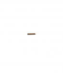 Seinariiul RUSO POL/149