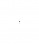 WOOX R4114H Full HD slimme camera voor binnen WiFI 2.4 Ghz, 1080p, 2 MP, 2.8mm, F2.2, CMOS, 7m IR