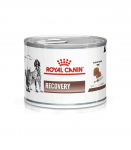 ROYAL CANIN Recovery - Wet dog and cat food - 195g