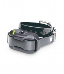 Dogtra EF-3500