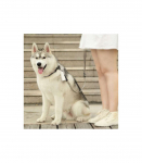 PETKIT Dog Waste Dispenser Set Bags: 30x22 cm, Dispenser: 14/8.2 cm x 3.8 cm