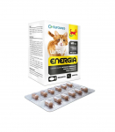 EUROWET Wita-Vet Energia - supplements for cats - 120 tablets