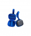 Telesin DisAdv EVA Universal Mini Transport Bag for Sports Cameras (Black/Blue)