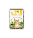 GimCat Hydro-Gras Płynna trawka 150g