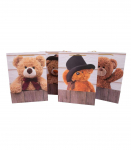 Kinkekott TEDDY, 31x42x12cm, mix