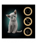 SHEBA Kitten Selection of Flavors in Sauce - wet cat food - 40x85 g