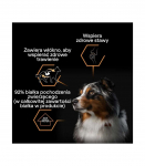 PURINA Pro Plan Everyday nutrition All size Adult Turkey in jelly - wet dog food - 400g