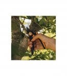 Fiskars Plus SmartFit Bypass Pruner P541 orange black (1057169)