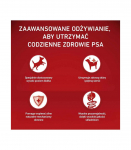 PURINA ONE MINI Dog Adult Beef & Rice 1,5kg