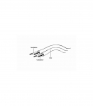 Cable stereo mini Jack 3.5mm M/M 1m