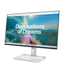 Lenovo L24D-4C computer monitor 60.5 cm (23.8") 1920 x 1080 pixels Full HD LCD Grey