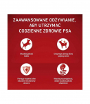 PURINA ONE MINI Dog Sensitive Salmon & Rice 1,5kg