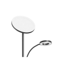 Double Floor Lamp with remote BlitzWill BWL-FL-0001, 36W (black)