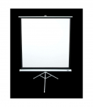 Elite Screens Tripod Series T113NWS1 Diagonal 113 " 1:1 Viewable screen width (W) 203 cm White