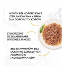 PURINA Gourmet Gold Succulent Delights Chicken - wet cat food - 85g