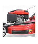Muruniiduk HECHT 5564 SX 5in1