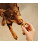 Carnilove Dog Crunchy Snack Ostrich & Blackberries 200g