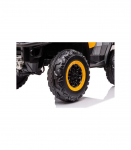 Quad Battery S615 Yellow 24V