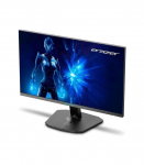 ERAZER 30038535 MD20124 Spectator P10 23,8" Gaming monitor