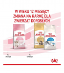 ROYAL CANIN Kitten - dry cat food - 2 kg