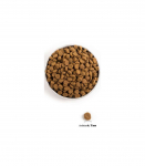 Acana Puppy Large Breed  17 kg