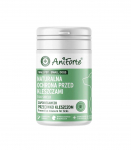 ANIFORTE Tick shield Small breeds - supplements for dogs - 60 tablets