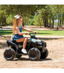 FEBER Quad elektris&otilde;iduk 12V Boxer kamuflaaž