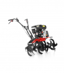 MULLAFREES HECHT 785