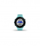 Garmin Forerunner 55 2.64 cm (1.04") MIP 42 mm Digital 208 x 208 pixels GPS (satellite)