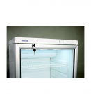 Fridge SNAIGE CD35DM-S300CD