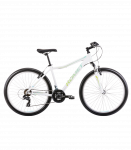Noorte jalgratas ROMET Jolene 6.0, 26" valge-sinine-roheline (M)