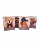 Kinkekott TEDDY, 26x32x12cm, mix