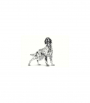 ROYAL CANIN Hypoallergenic - dry dog food - 2kg